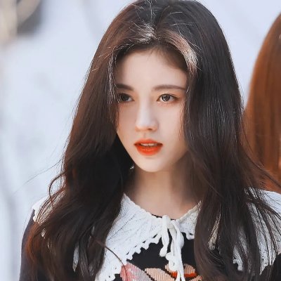 极岛森林第二季