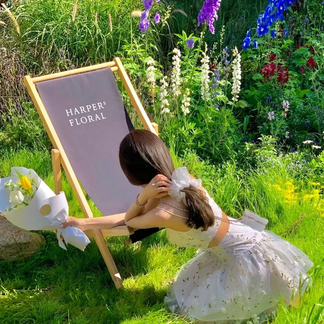 精灵宝可梦：结晶塔的帝王国语